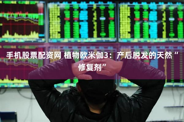 手机股票配资网 植物欧米伽3：产后脱发的天然“修复剂”