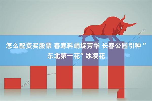 怎么配资买股票 春寒料峭绽芳华 长春公园引种“东北第一花”冰凌花